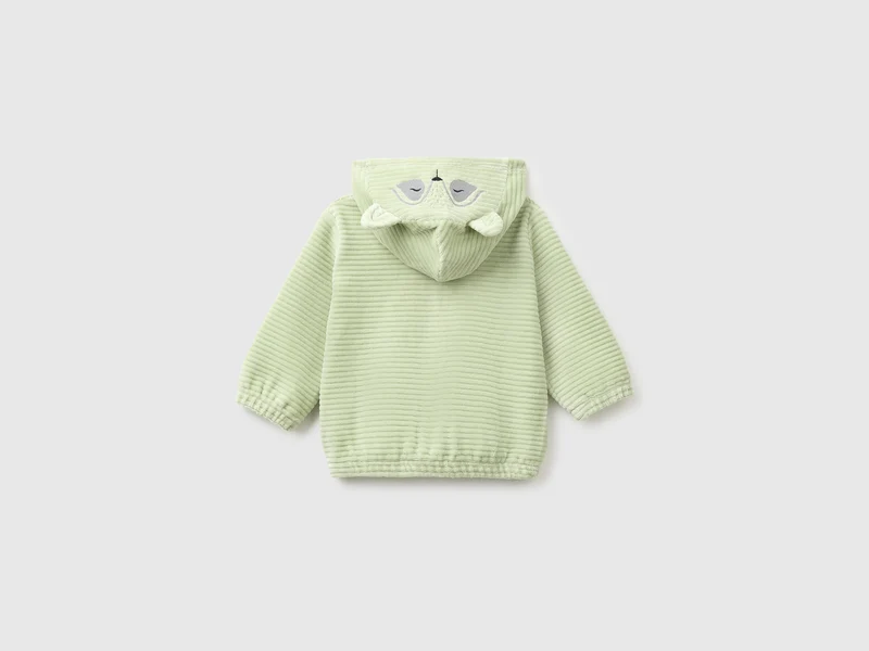 Chenille-Sweatshirt mit Stickerei