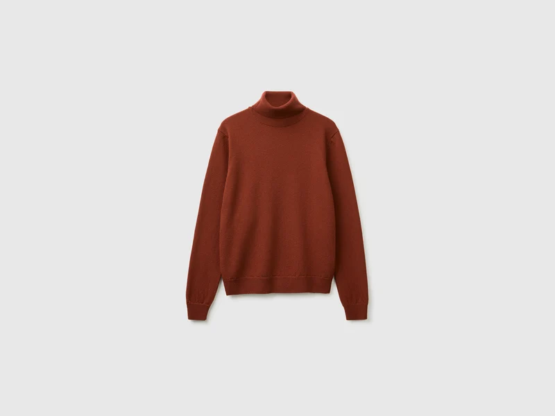 Rollkragenpullover aus 100 % Merinowolle