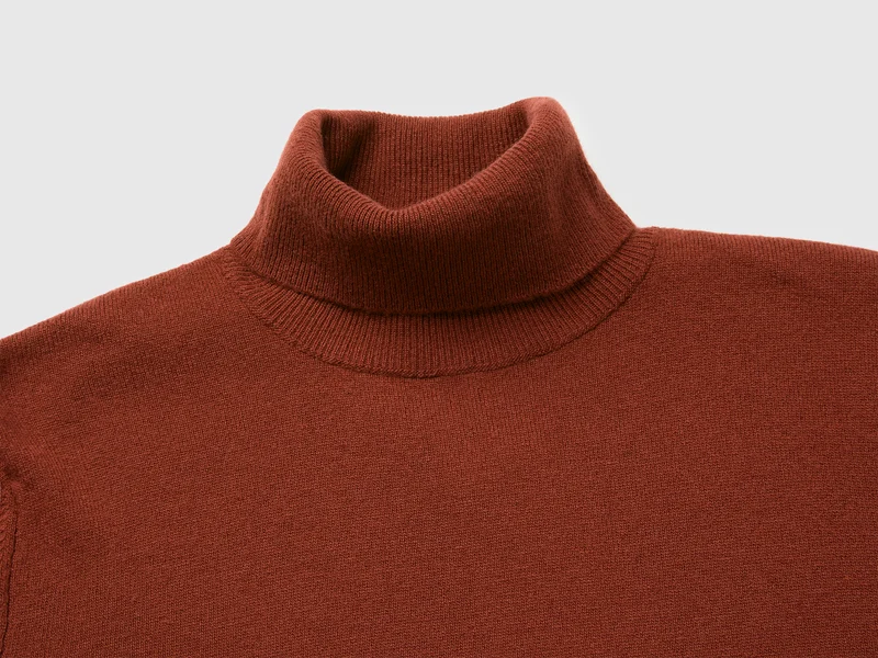Rollkragenpullover aus 100 % Merinowolle
