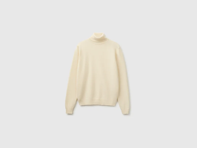 Rollkragenpullover aus 100 % Merinowolle