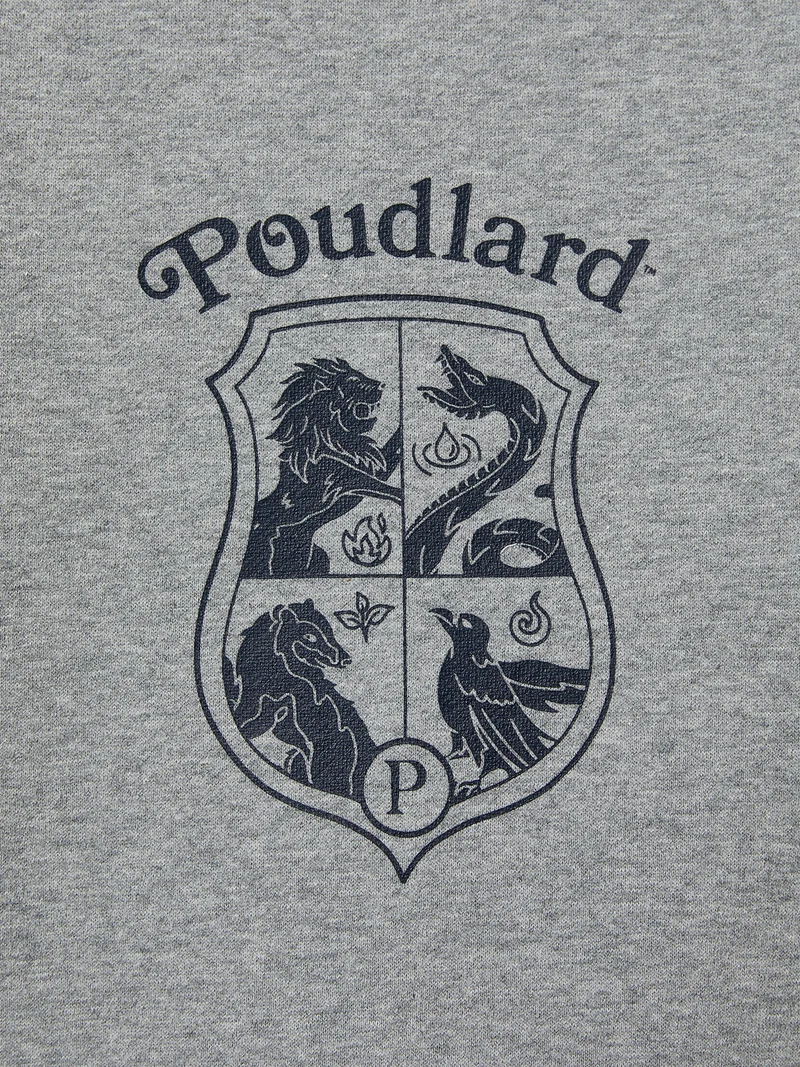 Kinder-Shirt – Harry Potter Kollektion
