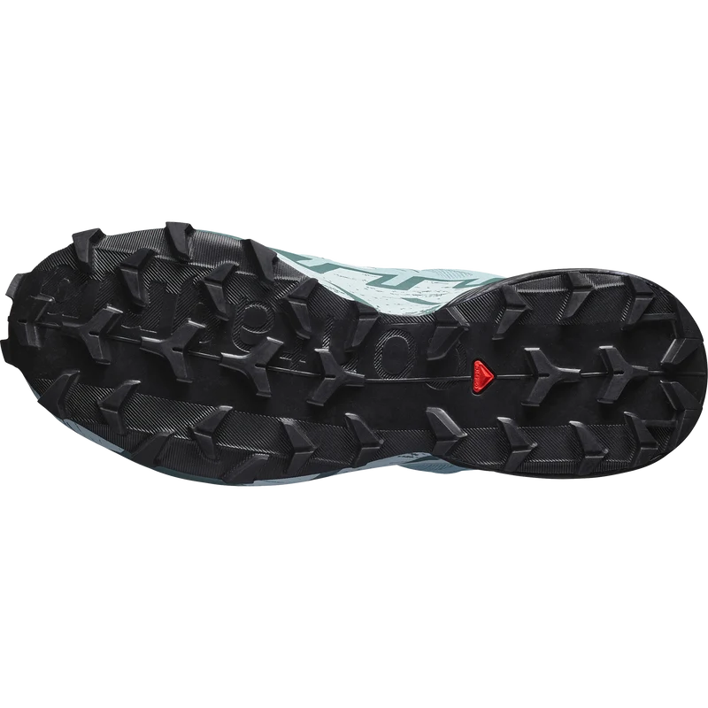 SALOMON SPEEDCROSS 6 GTX W Trailrunning Schuhe Damen