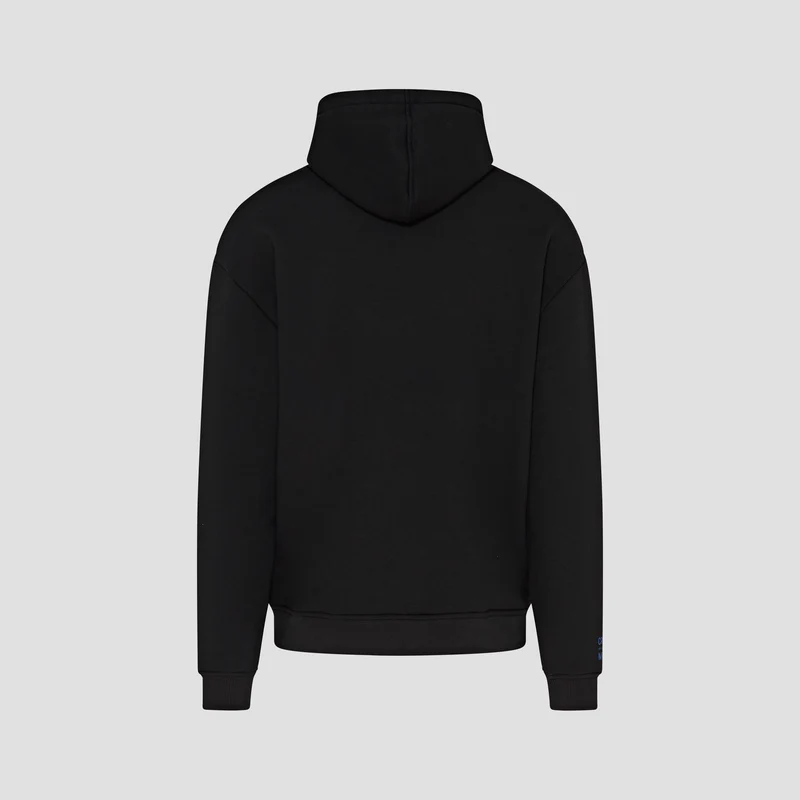 ACCENT LOGO HOODIE