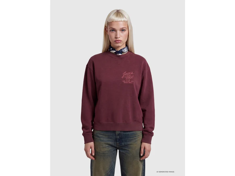 Vintage-Sweatshirt mit Westernstickerei