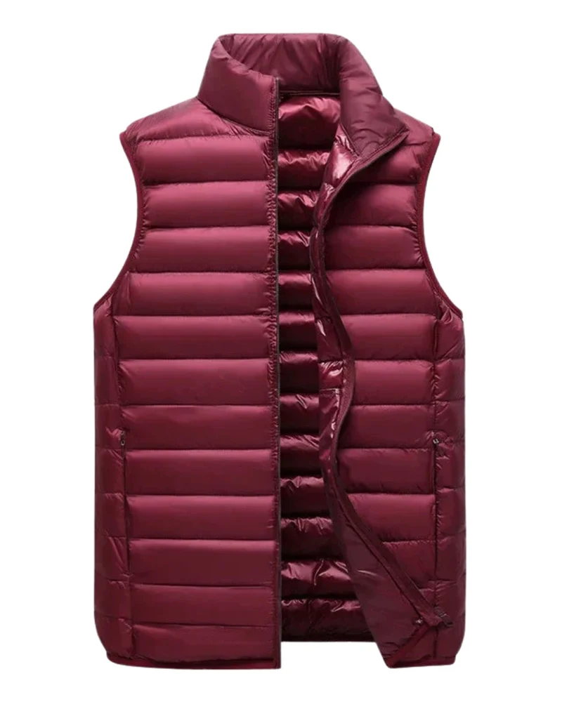 Elegant Men's Waistcoat