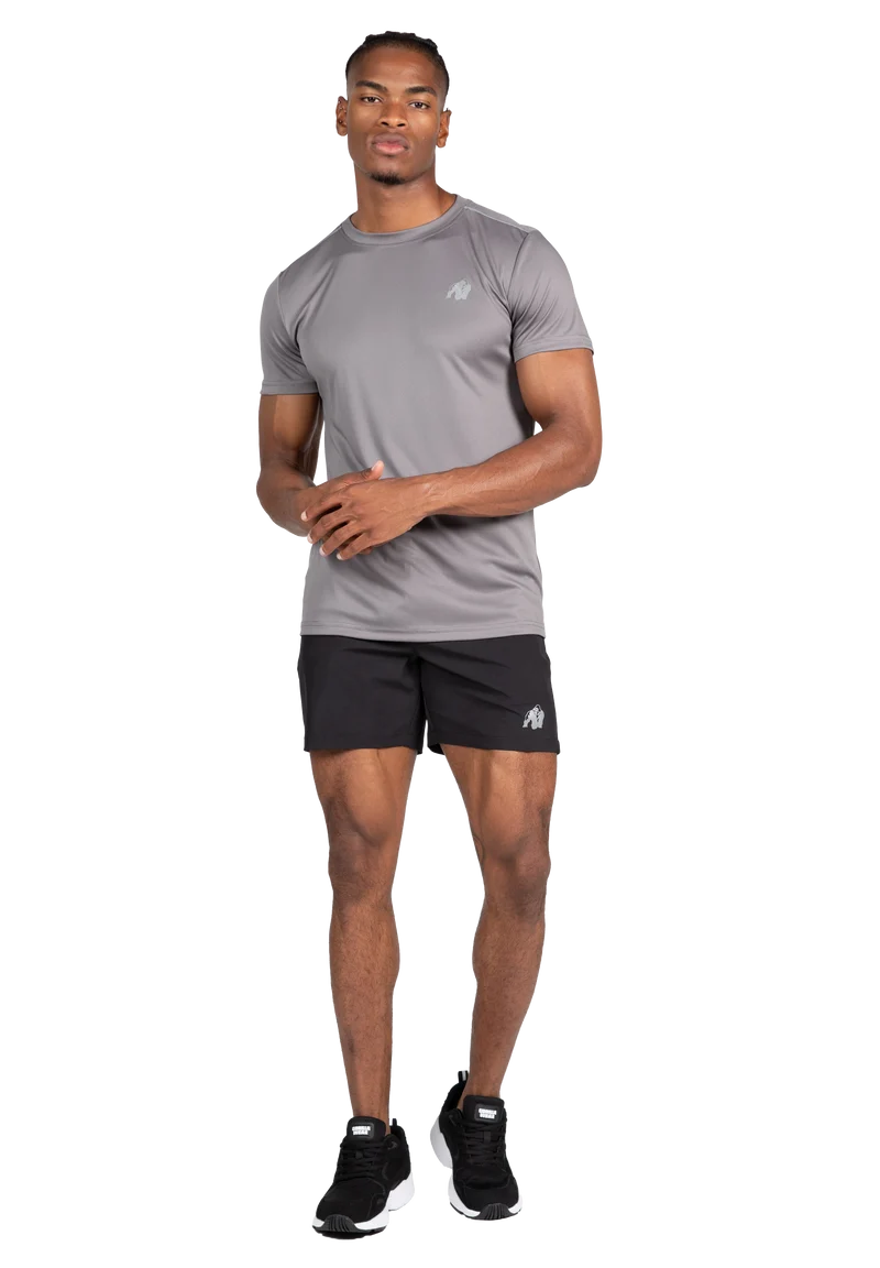 Easton T-Shirt - Gray