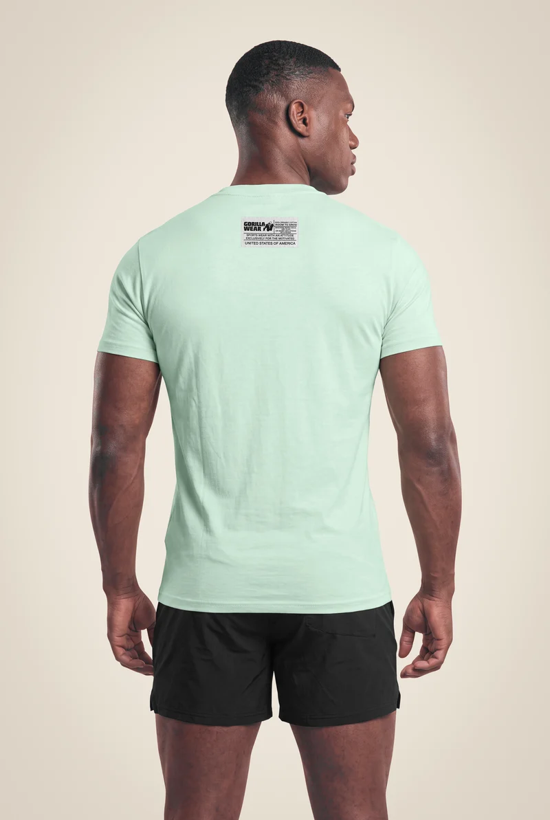 Classic T-Shirt - Mint