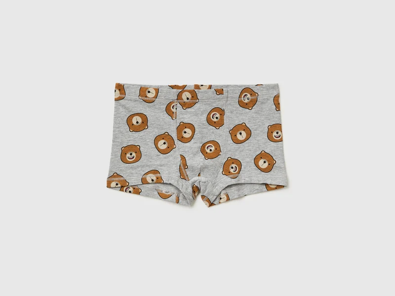 Boxer-Teddybären