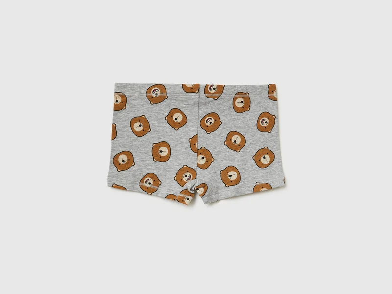 Boxer-Teddybären