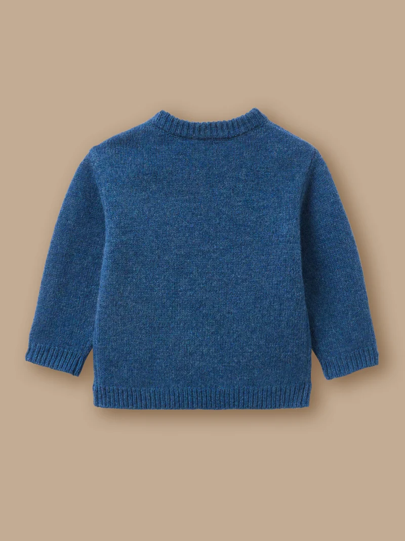 Pullover aus Merinowolle für Babys