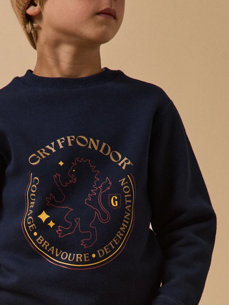 Kinder-Sweatshirt aus der Harry Potter Kollektion