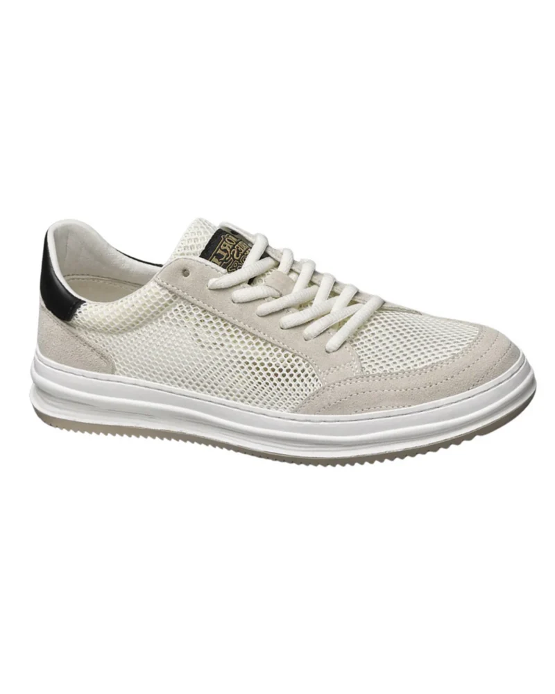 Elegant Mesh Sneakers