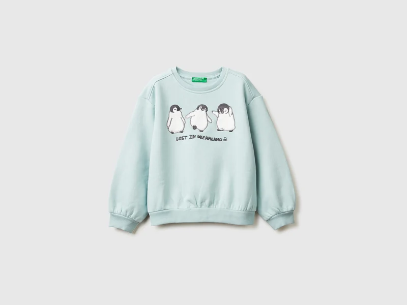 Sweatshirt mit Animal-Stickerei
