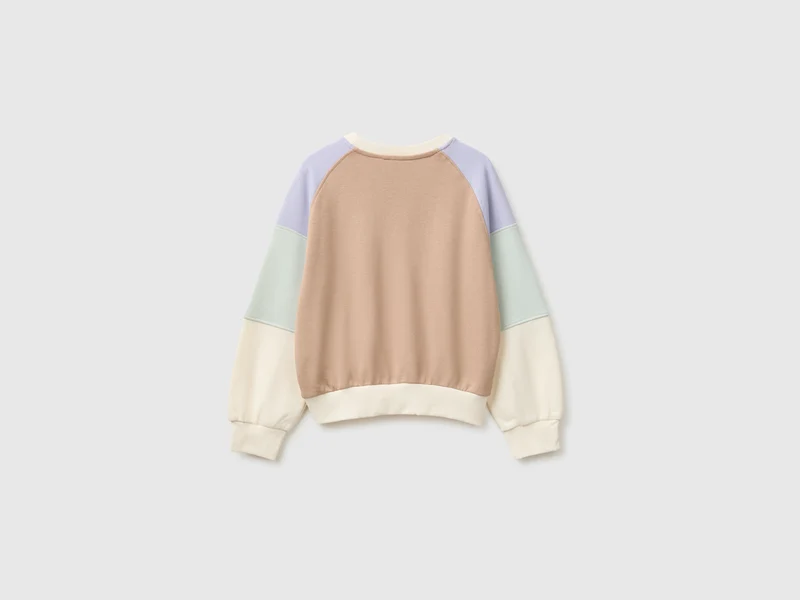 Sweatshirt mit Farbblock-Design und Stickerei