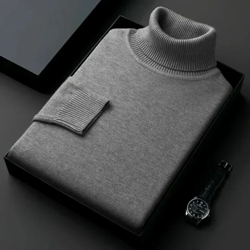Alioth Cashmere Turtleneck