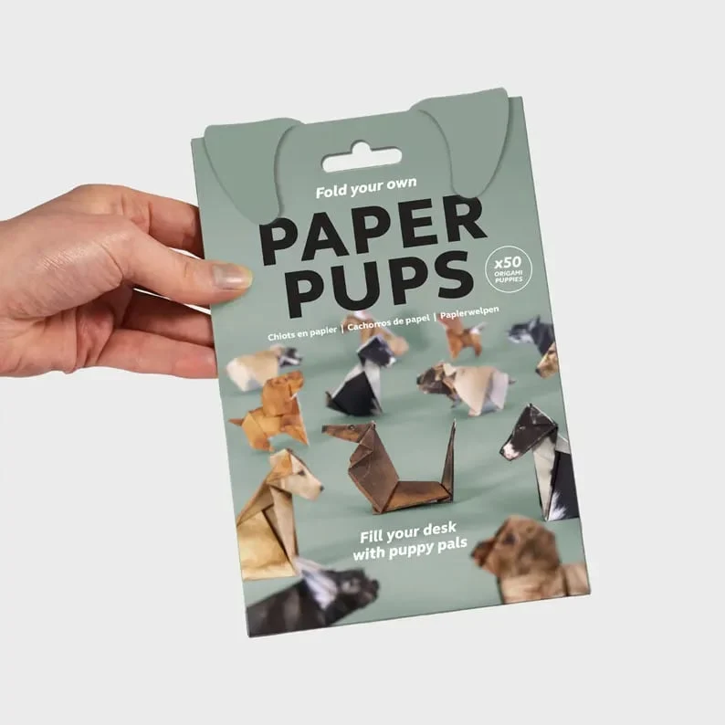 PaperPaws – Ein DIY-Paradies für Katzenliebhaber