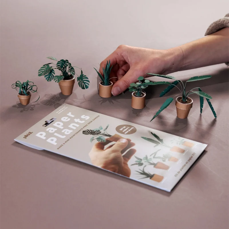 PaperPaws – Ein DIY-Paradies für Katzenliebhaber