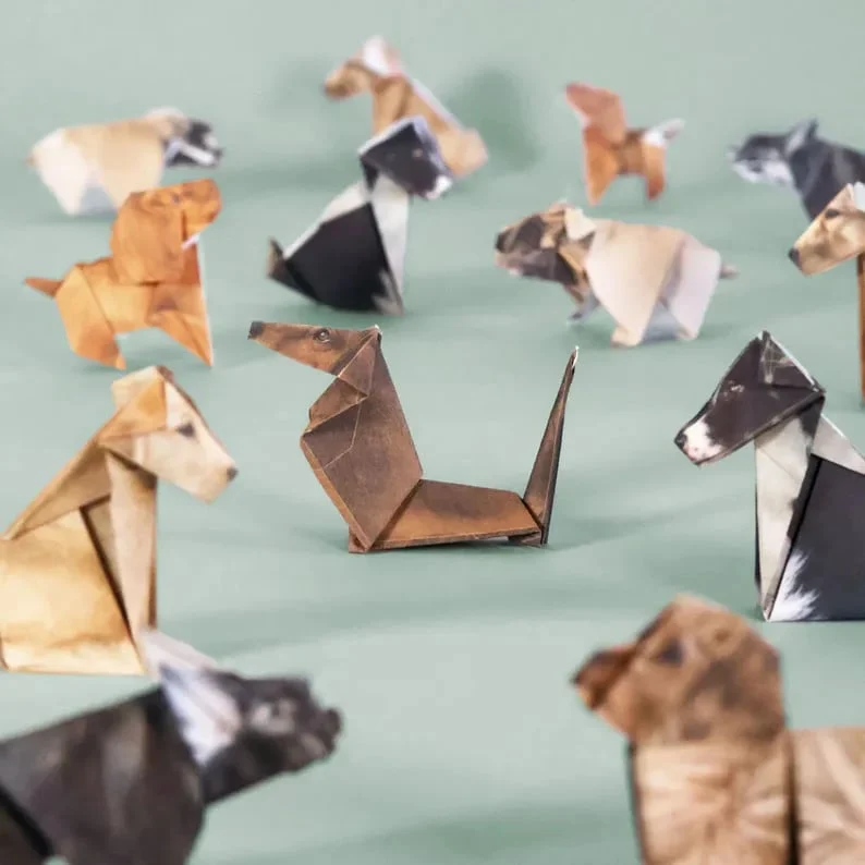 PaperPaws – Ein DIY-Paradies für Katzenliebhaber