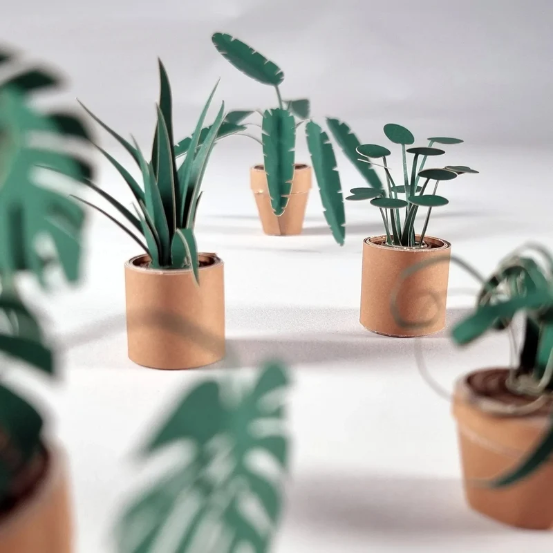 PaperPaws – Ein DIY-Paradies für Katzenliebhaber