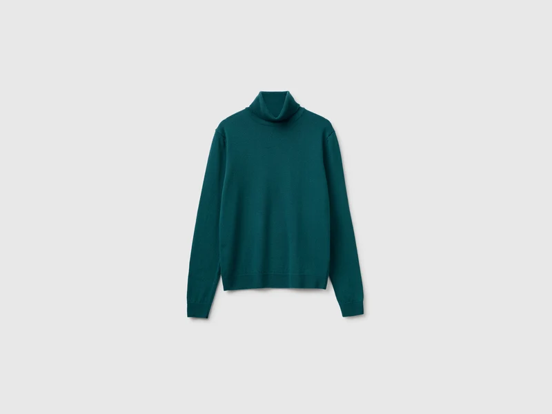 Rollkragenpullover aus 100 % Merinowolle