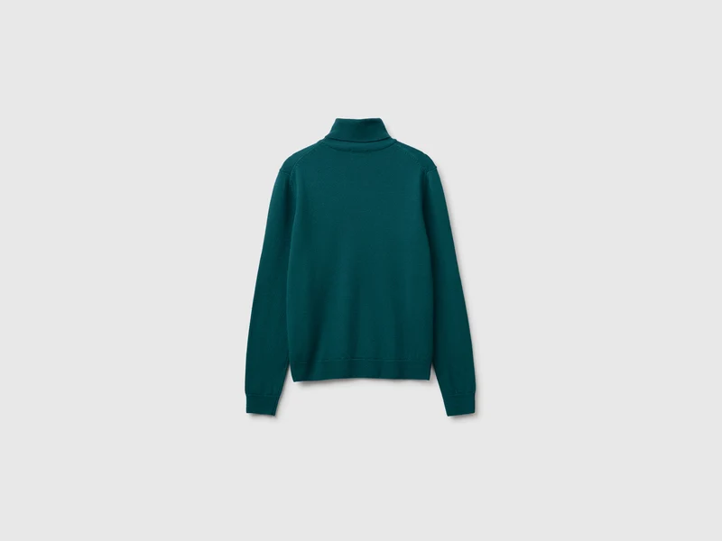 Rollkragenpullover aus 100 % Merinowolle