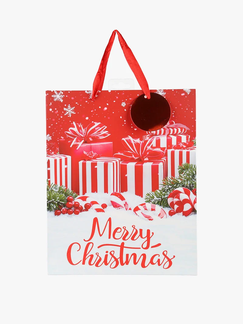 Sacchetto regalo di Natale medio