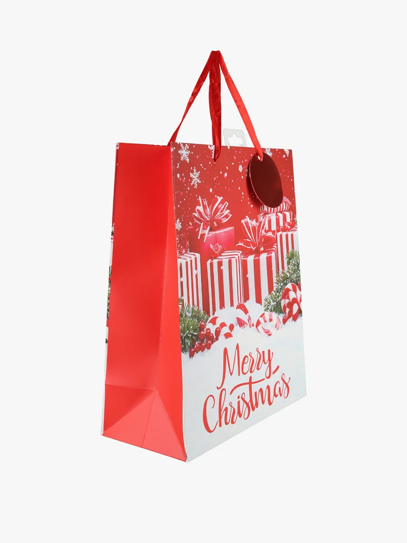 Sacchetto regalo di Natale medio