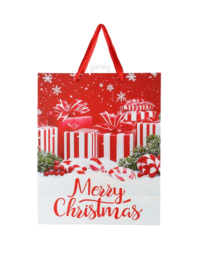 Sacchetto regalo di Natale medio