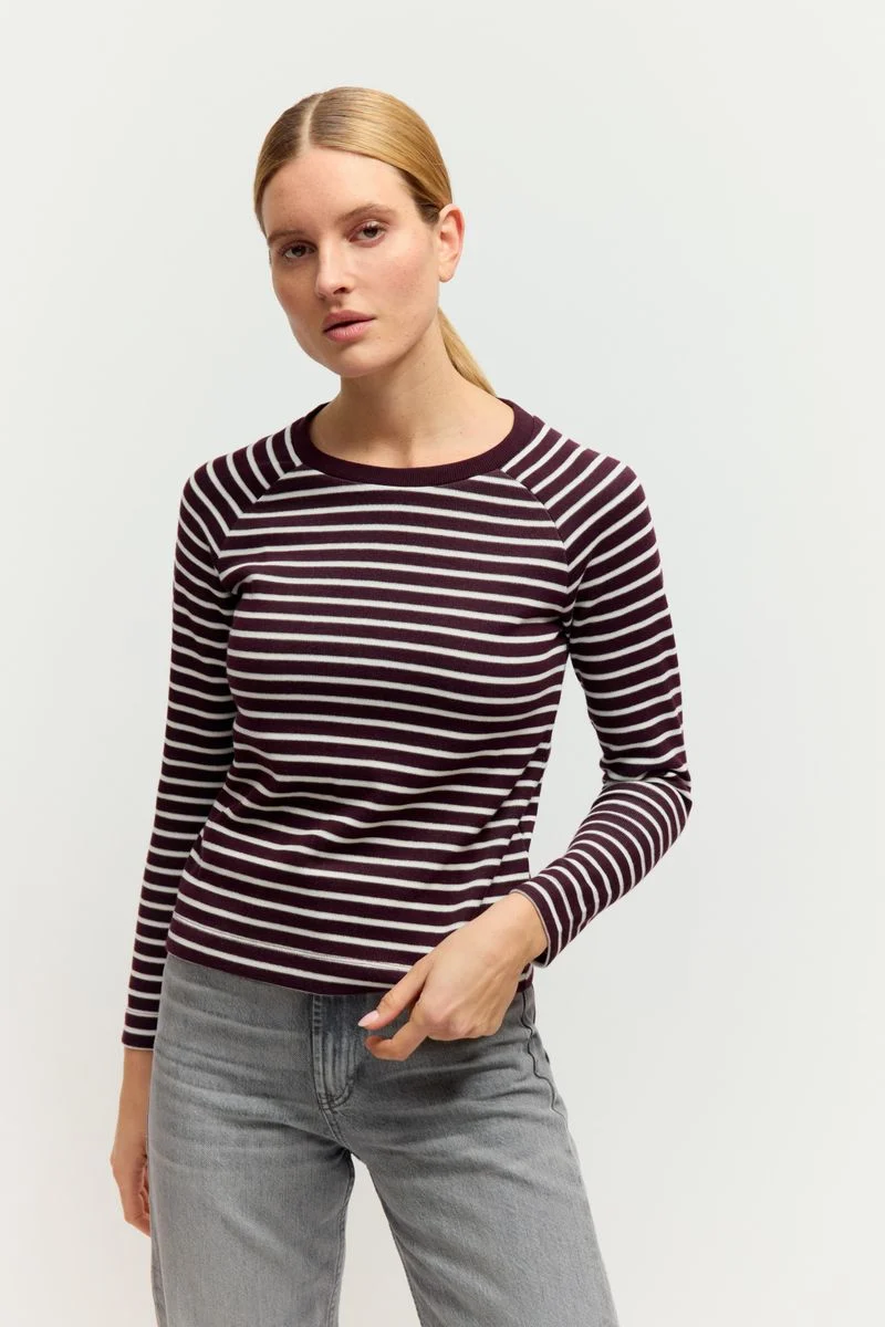 Striped Raglan Pullover