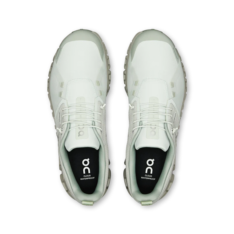 Cloud 6 WP