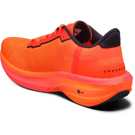 ENDURANCE 3 M