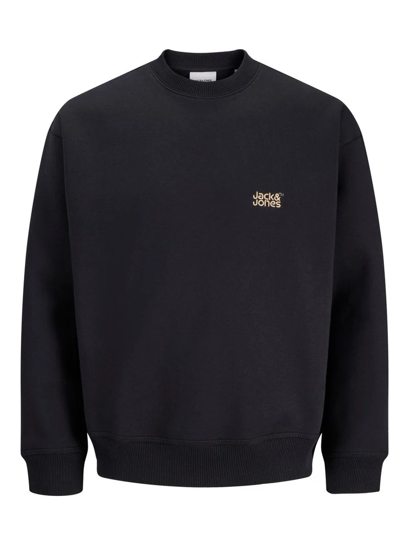 JJECOLTON SWEAT CREW NECK SN JNR