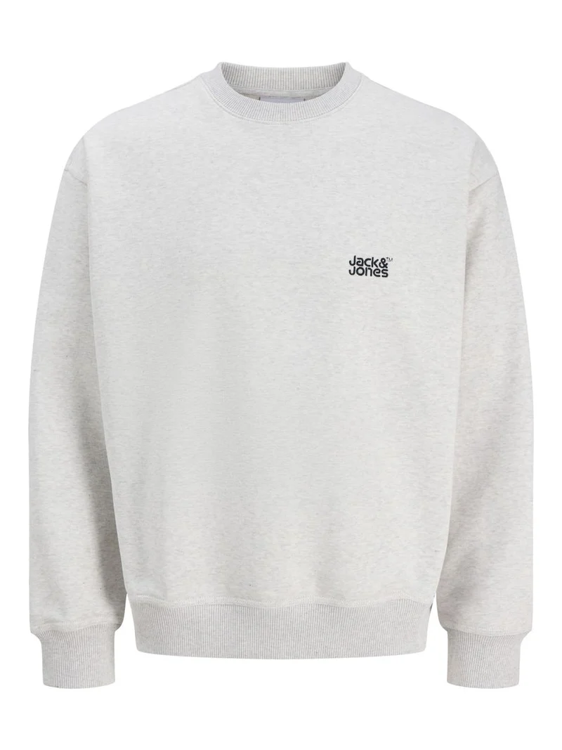 JJECOLTON SWEAT CREW NECK SN JNR