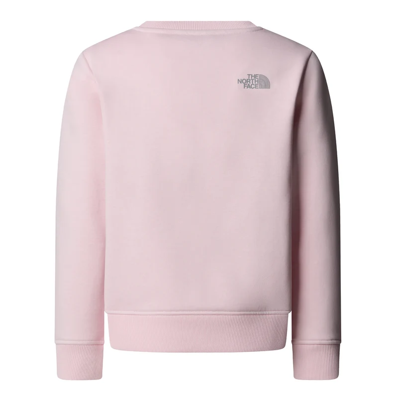 NORTH FACE G Reflective Logo Relaxed Crew Pullover