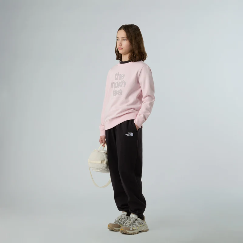 NORTH FACE G Reflective Logo Relaxed Crew Pullover