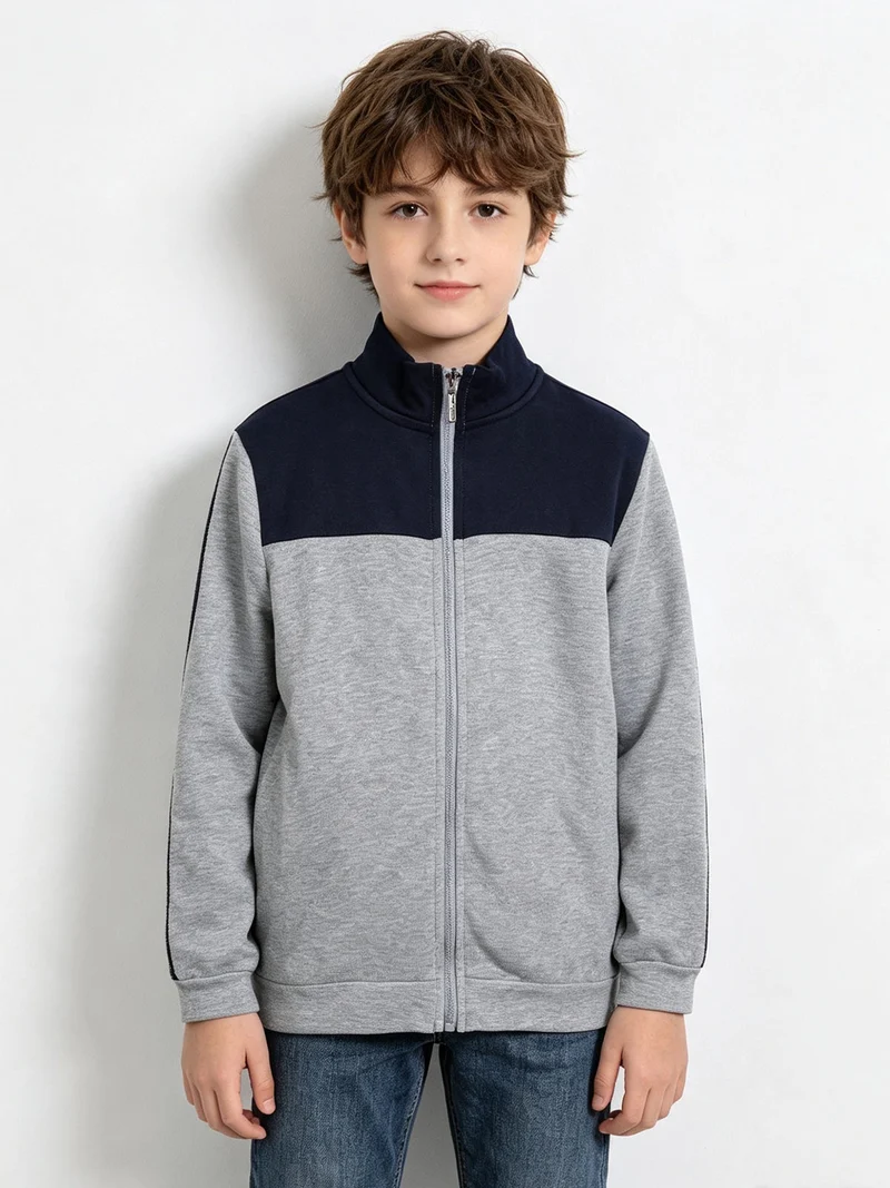 Felpa da bambino full zip con strisce sulle maniche - grigio
