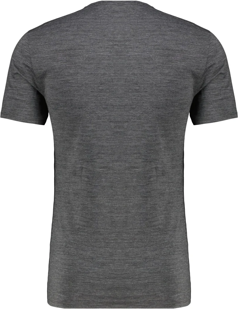 ICEBREAKER Herren Funktionsunterhemd Anatomica S/S