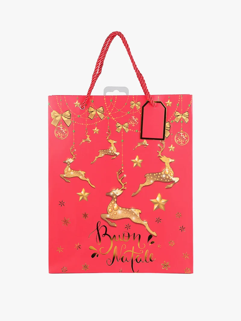 Sacchetto di regalo natalizio