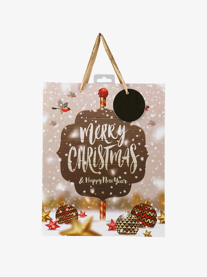 Sacchetto regalo di Natale medio