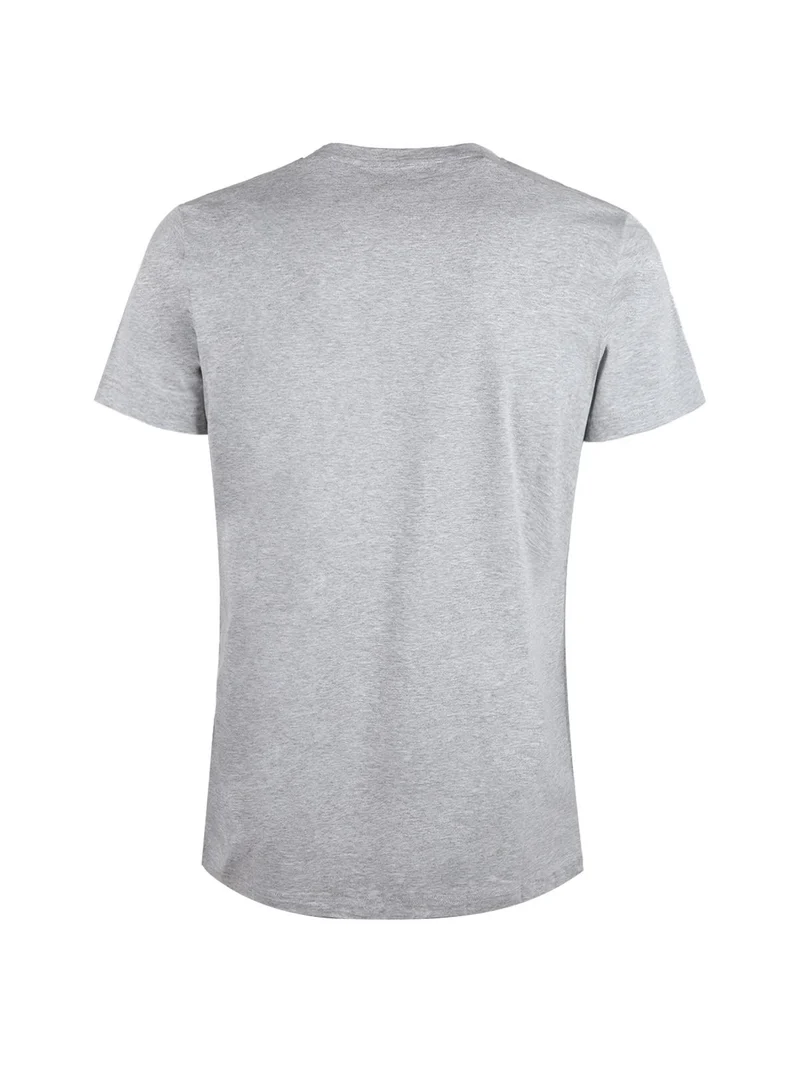 T-shirt uomo scollo a V in cotone - grigio