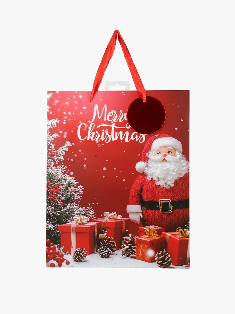 Sacchetto regalo di Natale medio