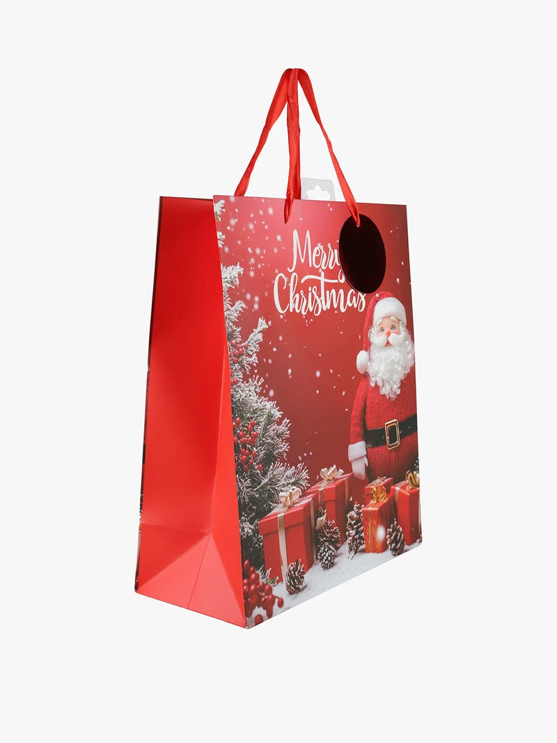 Sacchetto regalo di Natale medio