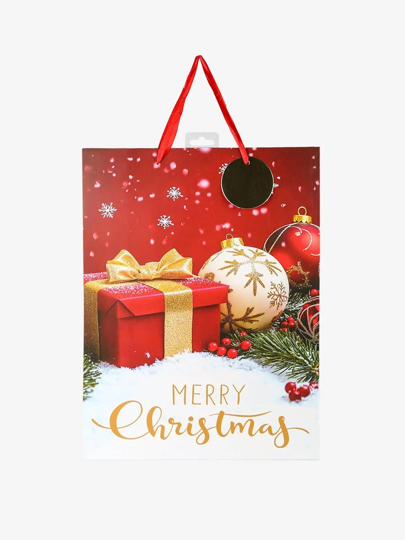 Sacchetto regalo di Natale grande