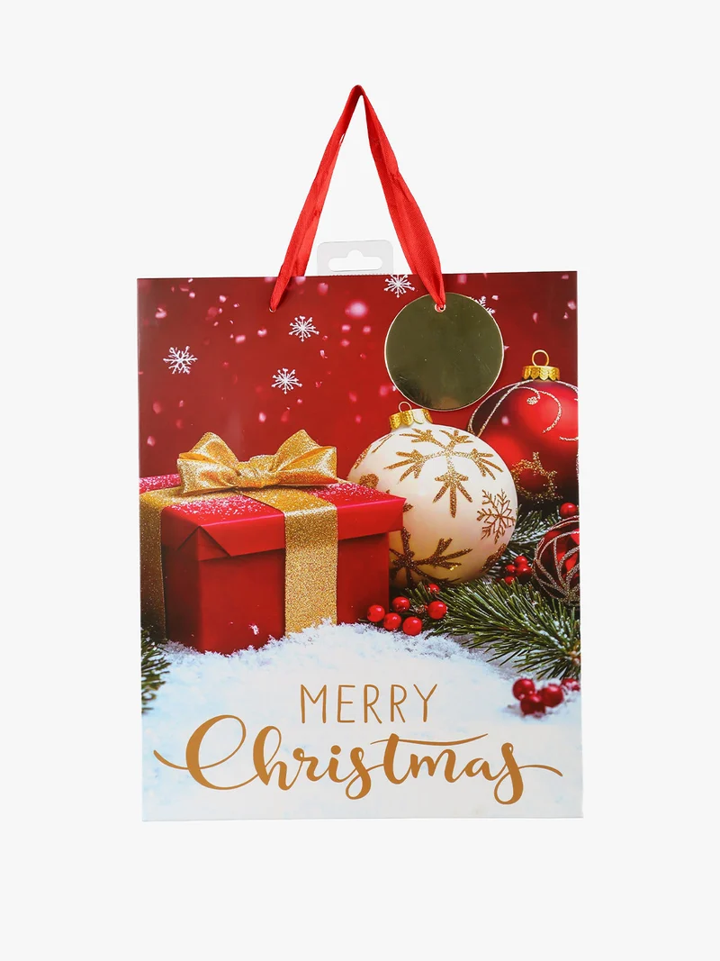 Sacchetto regalo di Natale medio