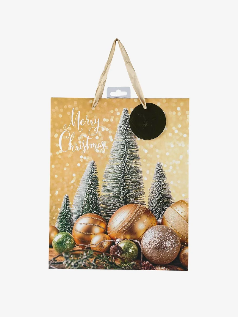 Sacchetto regalo di Natale medio