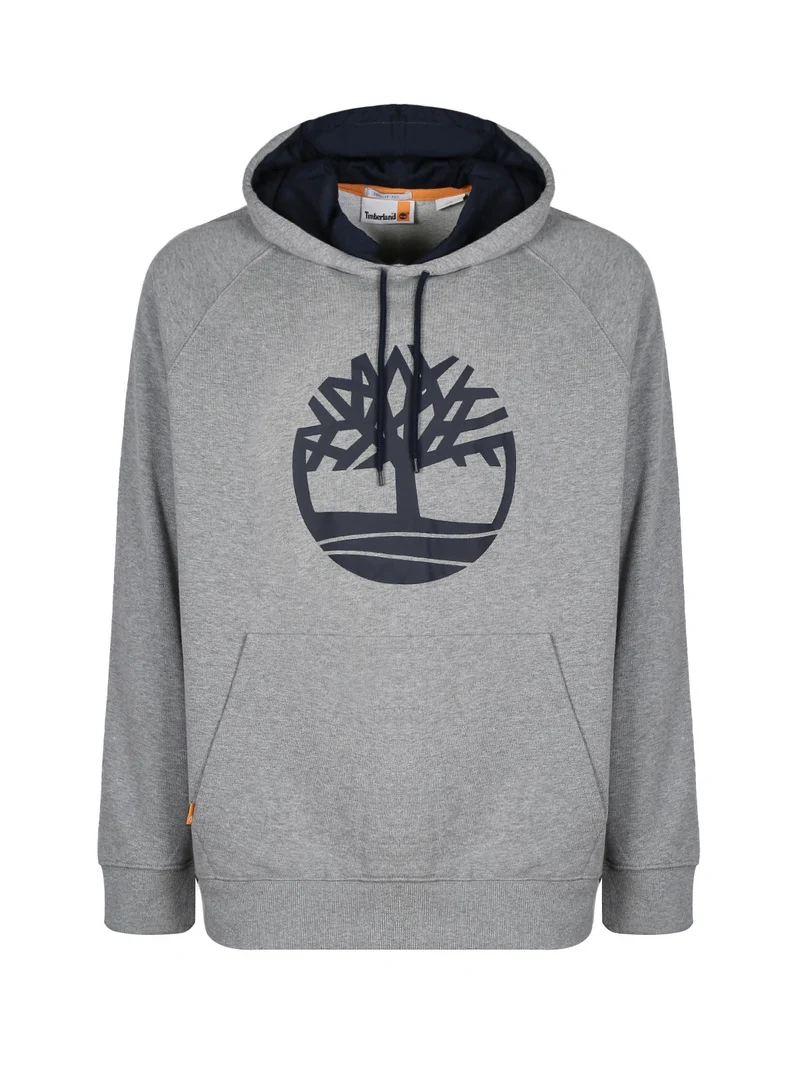 TB0A2FE4 Felpa uomo in cotone con cappuccio - grigio