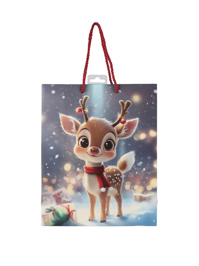 Sacchetto regalo di Natale medio