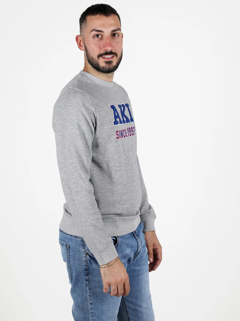 Felpa girocollo da uomo leggera - grigio