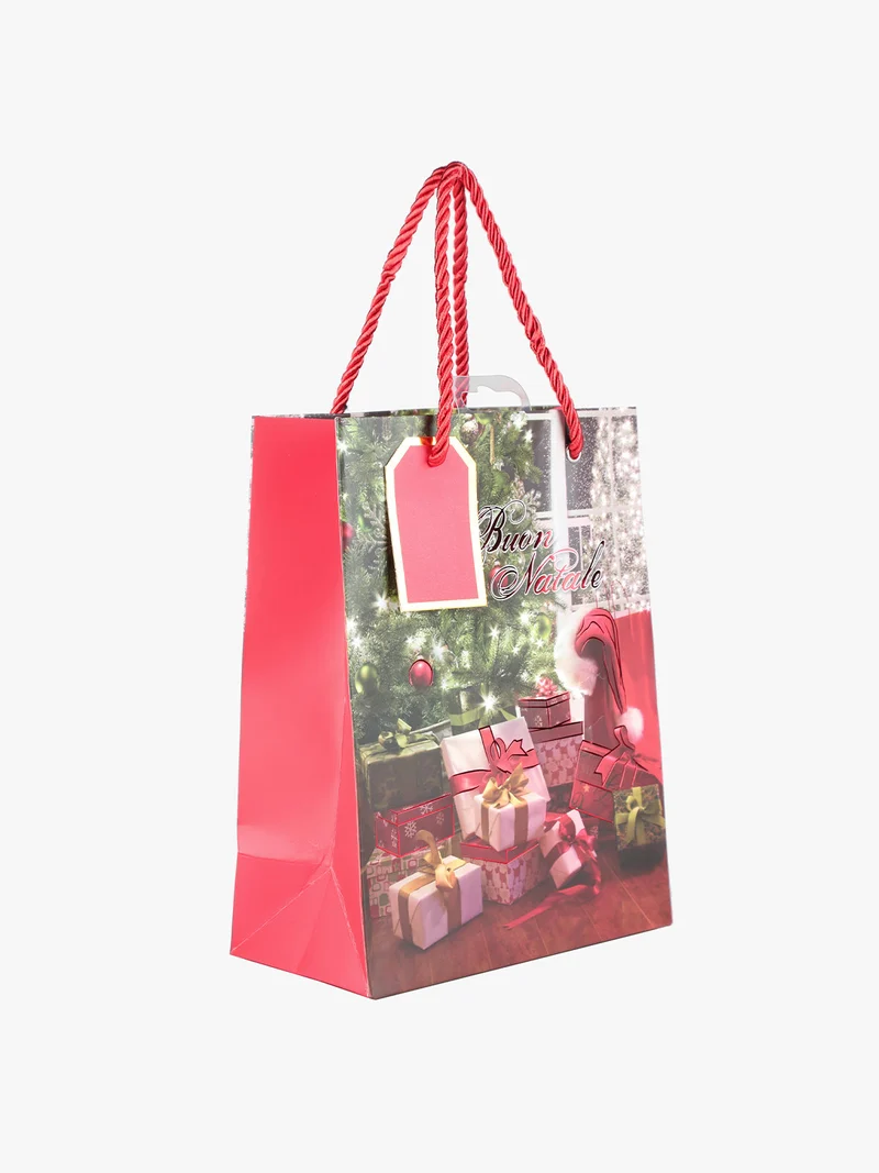 Sacchetto regalo natalizio